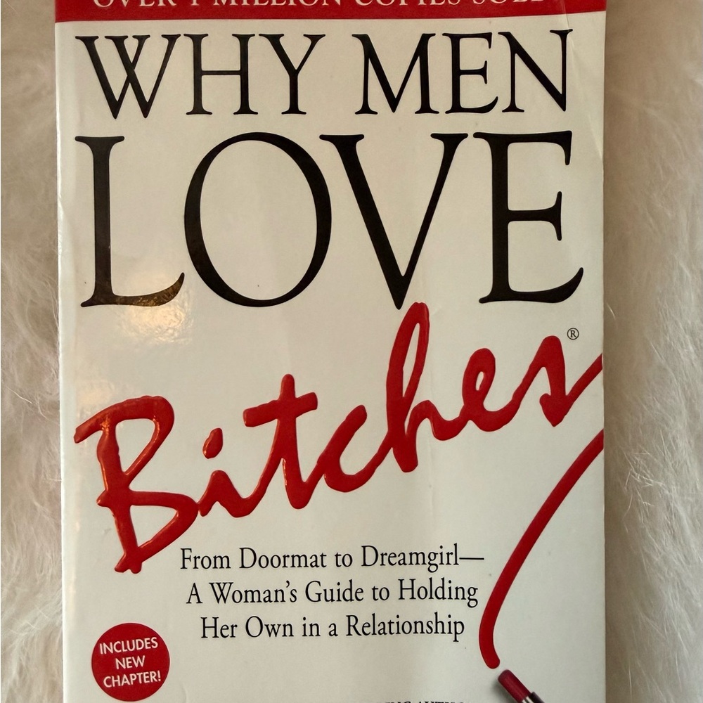 Why Men Love Bitches Book. This is an interesting read.